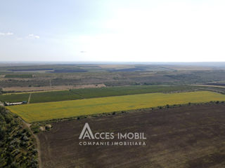 Teren agricol, 18 ha, traseu M1 Boșcana! foto 3