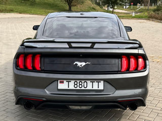 Ford Mustang foto 6