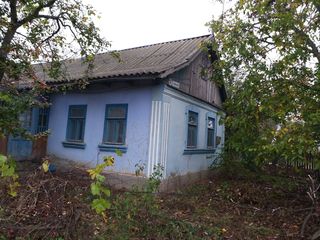 Se vinde casa pe pamint in rn.Leova, sat.Sarata-Noua, str. Doina foto 1