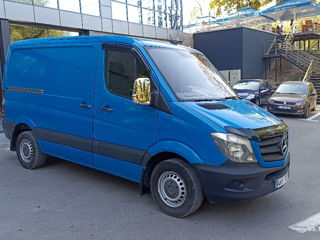 Mercedes Sprinter Delfin