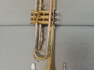 Trompeta/труба foto 2