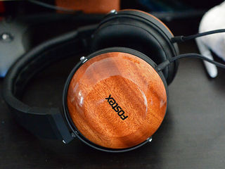 Fostex TH-X00 (TH610) foto 1