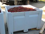 Containere pentru mere/ceapa/cartofi/prune/struguri - Пластиковые контейнеры foto 8