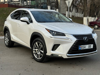 Lexus NX Series