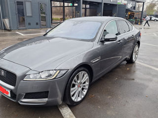 Jaguar XF foto 10