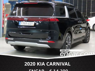 KIA Carnival foto 7