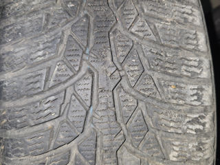 Nokian WR D4 205/55 R16 foto 2