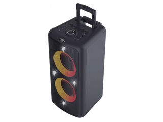Portable Audio System F&D Pa300