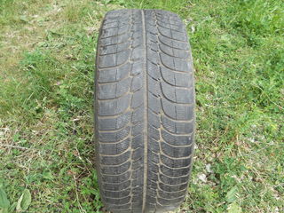 255х55х18 Michelin  1 скат foto 3