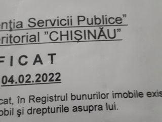 Colonita 12ari sub constructii se poate si 6 ari