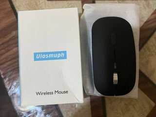 Mouse