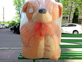 Ursuleți gigant 170 cm cu I Love You. Livrarea gratuită în Chișinău. livrăm rapid toată Moldova. foto 13