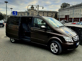 Mercedes Viano foto 5