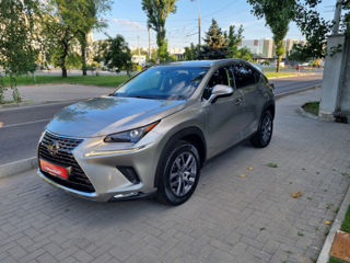 Lexus NX Series