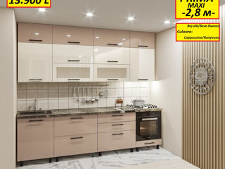 Bucătării blum 2.0m, hettich,kessebohmer. Fabrica de mobilă. кухни с фурнитурой "Блюм" foto 11