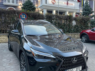 Lexus NX Series