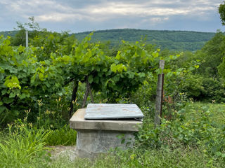 Casa in loc pitoresc, linistit si usor accesibil foto 4