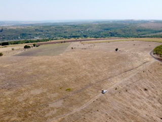 11 hectare consolidate Ialoveni s. Sociteni foto 5