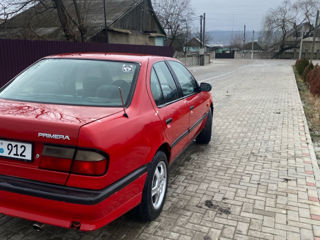 Nissan Primera foto 5