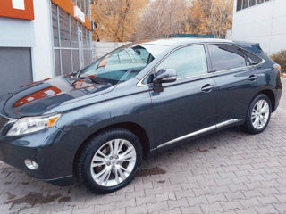 Lexus RX Series