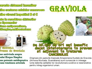 Graviola distruge celulele canceroase foto 5