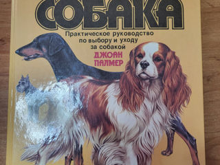 Книга Ваша Собака