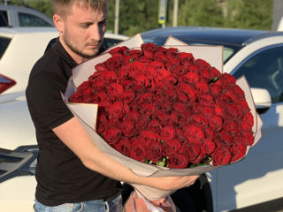 101 trandafiri / 101 роза.