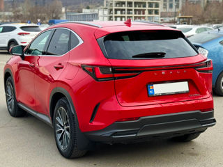 Lexus NX Series foto 8