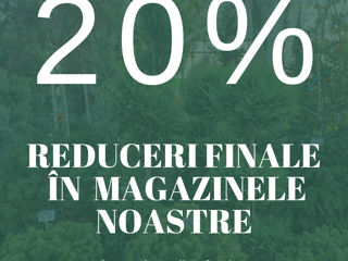 20% reducere la toate plantele decorative. foto 2