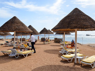 Египет! Parrotel Aqua Park Resort 4*-295 € foto 6