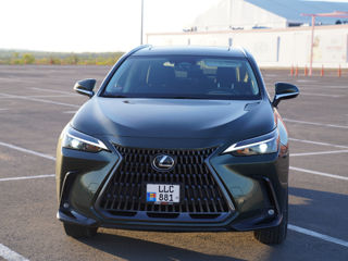 Lexus NX Series foto 4