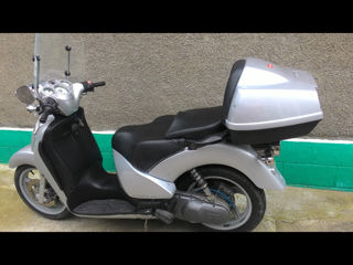 Aprilia Scarebeo 200cc foto 4