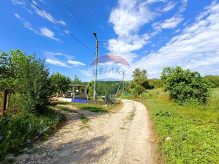 Teren pomicol în comuna Trușeni (Bostancea) foto 9