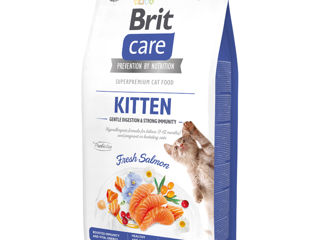 Brit Care Cat Grain-Free Kitten Salmon Digestion & Immunity Hypoallergenic 2KG