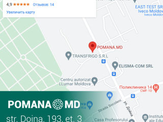 Coroane funerare, coşuri, jerbe din flori naturale cu livrare foto 5