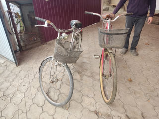 Bicicleta rosie foto 4