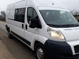 Fiat Ducato 7 Locuri 2008 foto 1