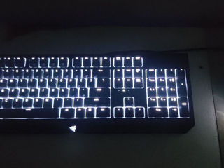 Razer Blackwidow + Мышка Logitech G102 + Наушники