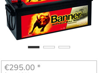 Banner Buffalo Bull SHD Pro 225Ah /1150A (Б/У) foto 8