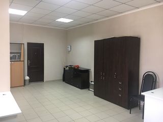 на ботанике, 40 м.кв, c мебелью. foto 6