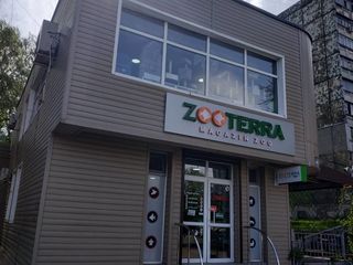Zooterra - лучший в городе выбор товаров для ваших питомцев