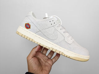 Nike SB Dunk SE Low The Future is Equal Unisex