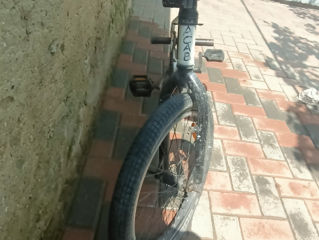 BMX фото 5