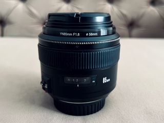 SIGMA EF 8mm f3.5 / YONGNUO EF 85mm f1.8 foto 4