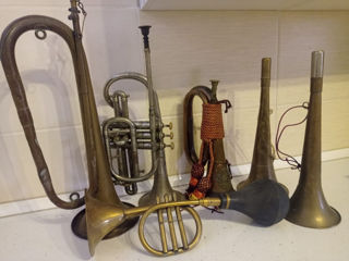 Trompete și fluiere foto 2