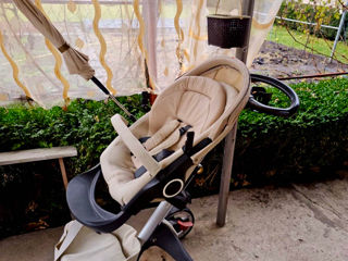 Stokke foto 2