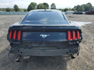 Ford Mustang foto 6