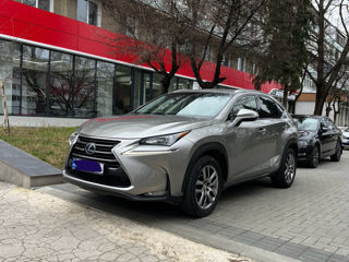 Lexus NX Series