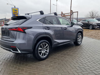 Lexus NX Series foto 4