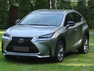 Lexus NX Series